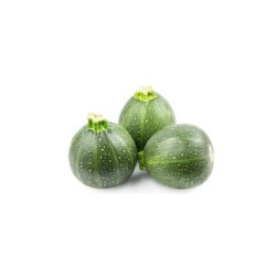COURGETTE RONDE 1KG