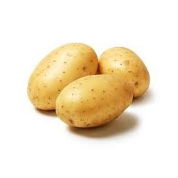 Pomme de terre blanche 1Kg