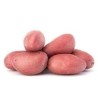 Pomme de terre rouge 1Kg