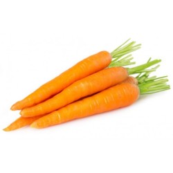 Carottes