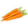 Carottes