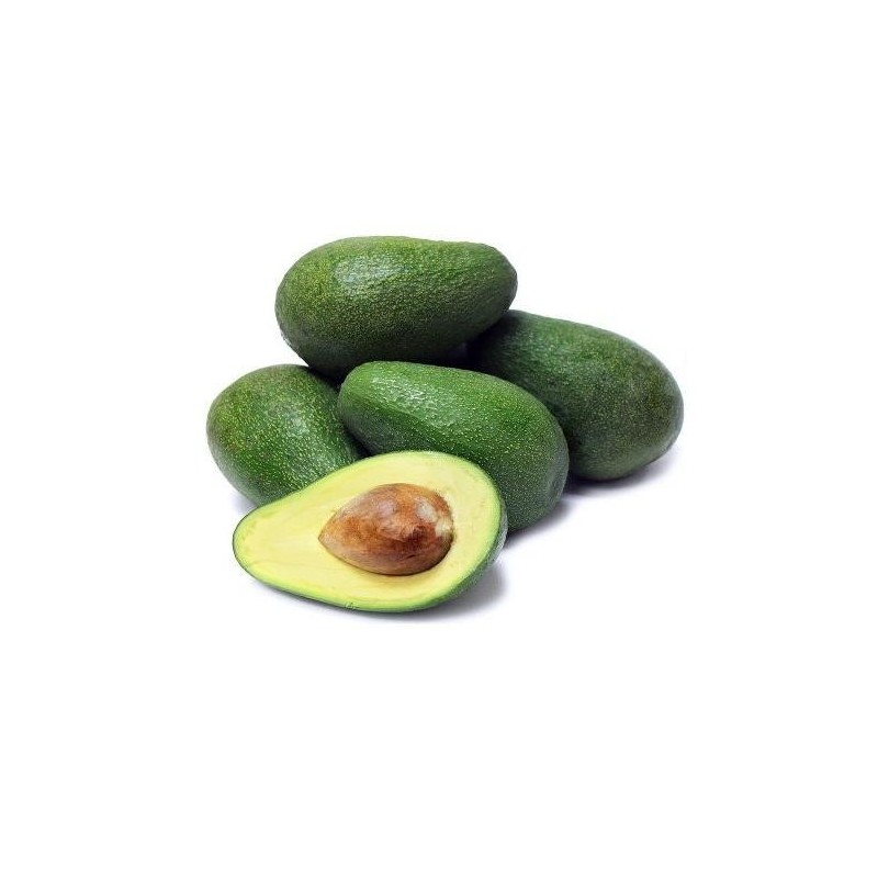 Avocat